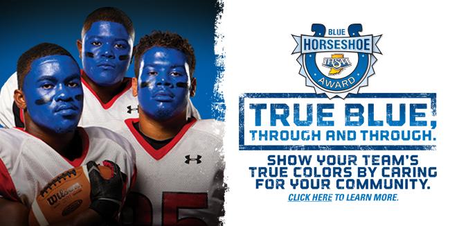 Banner with text: Blue Horseshow Award - True Blue, Through and Through - Show your team's true colors by carrying for your community.