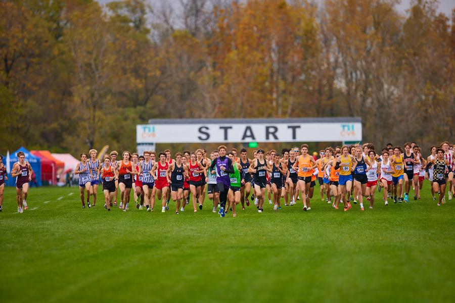 cross country event in a field near woods